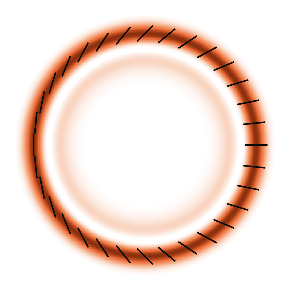 The bright double ring of conical refraction, with its polarization turning half a turn around it