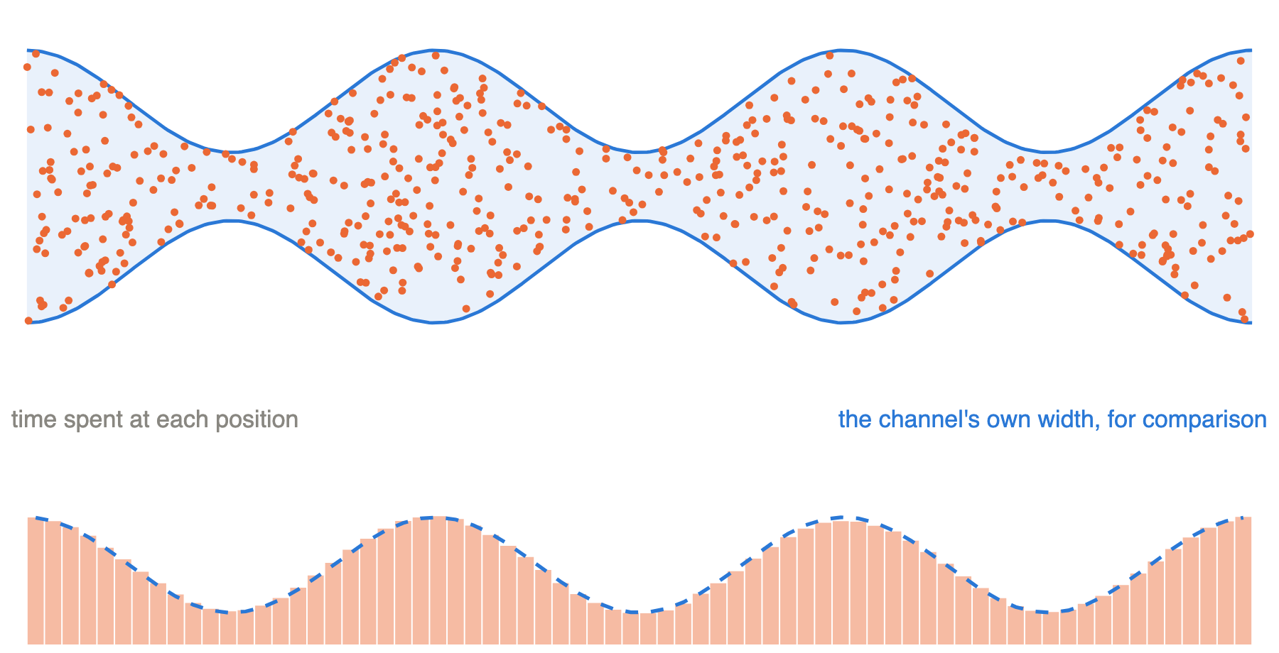 Simulated walkers in a corrugated channel, with a histogram of time spent that follows the channel's width